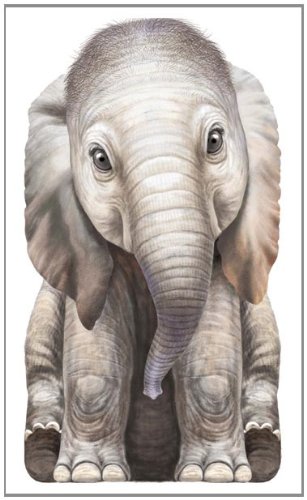 Little Elephant by L. Rigo