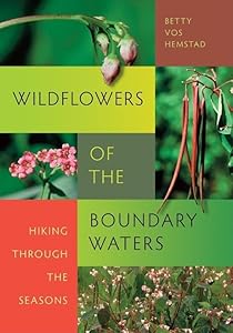 Wildflowers of the Boundary Waters: Hiking Through the Seasons by Betty Vos Hemstad