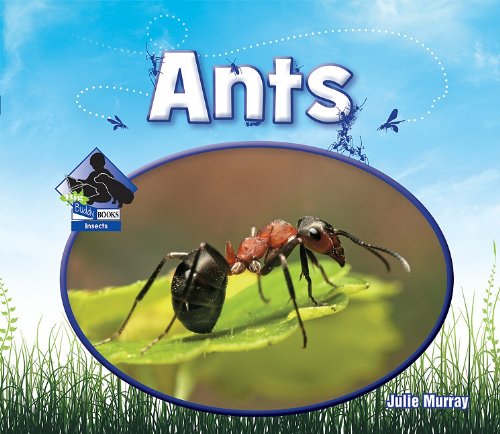 Ants by Julie Murray