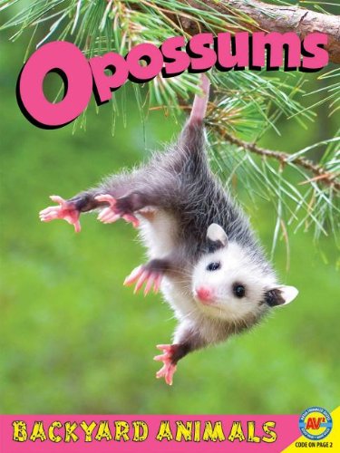 Opossums with Code by Christine Webster