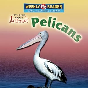 Pelicans (Let's Read About Animals)