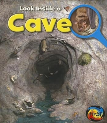 Cave (Look Inside a)