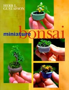 Miniature Bonsai