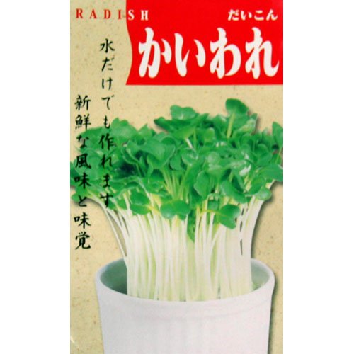 スプラウト 種 【 大根　かいわれ 】 種子 小袋（約40ml）