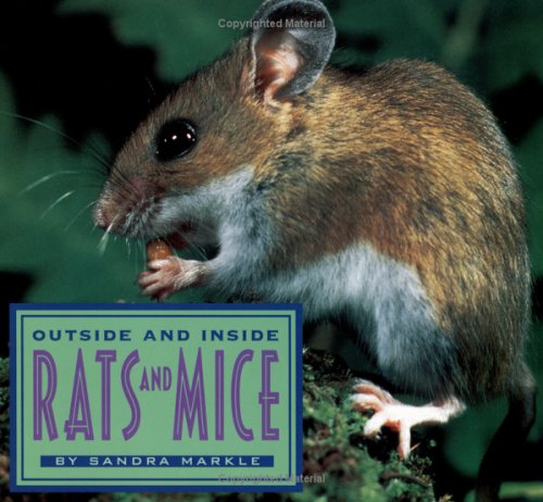 Outside and Inside Rats and Mice by Sandra Markle