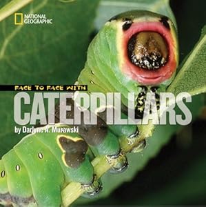 Face to Face with Caterpillars (Face to Face with Animals)
