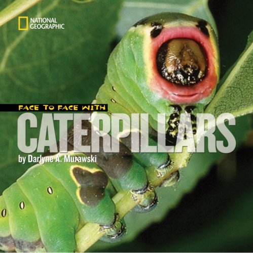Face to Face with Caterpillars (Face to Face with Animals) by Darlyne Murawski