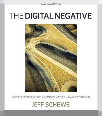 The digital negative : raw image processing in Lightroom, Camera Raw, and Photoshop