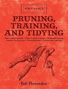 Pruning, Training, and Tidying: Bob's Basics
