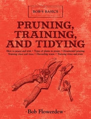 Pruning, Training, and Tidying: Bob's Basics