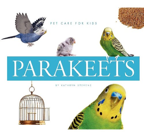 Parakeets by Kathryn Stevens