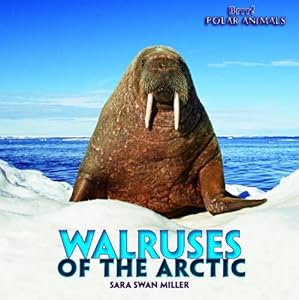 Walruses of the Arctic