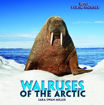 Walruses of the Arctic