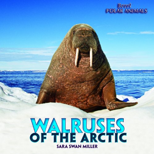 Walruses of the Arctic by Sara Swan Miller