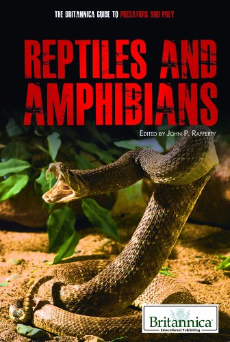 Reptiles and Amphibians by John P. Rafferty  (Editor)