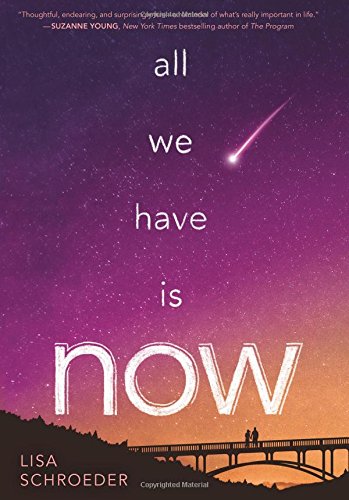 All we have is now by Lisa Schroeder