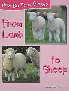 From Lamb to Sheep (How Do They Grow?)