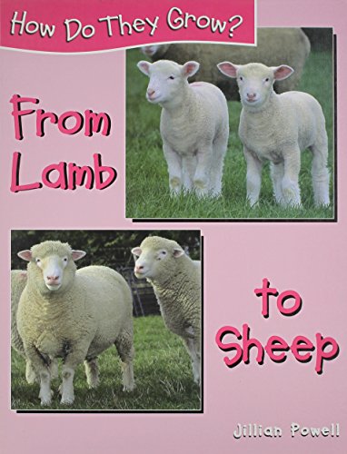 From Lamb to Sheep (How Do They Grow?) by Jillian Powell