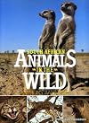 South African Animals in the Wild