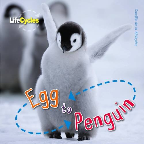 Egg to Penguin (Qed Life Cycles) by Camilla De La Bedoyere