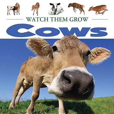 Cows