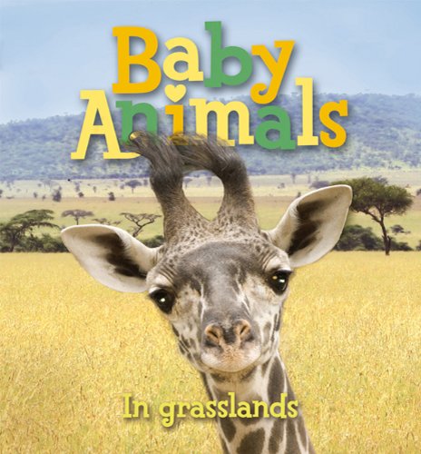 Baby Animals In Grasslands by Editors of Kingfisher