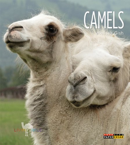 Living Wild: Camels by Melissa Gish