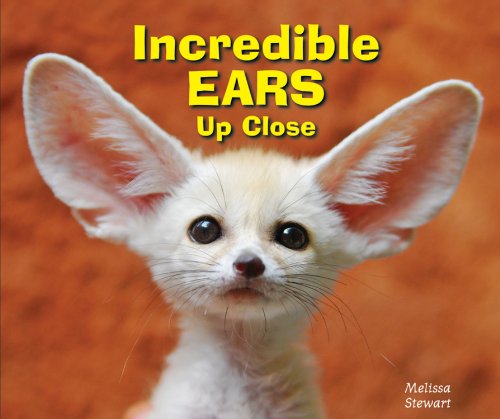 Incredible ears up close by Melissa Stewart
