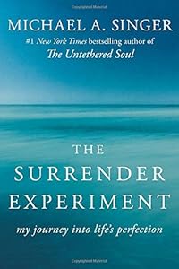 The Surrender Experiment: My Journey into Life's Perfection