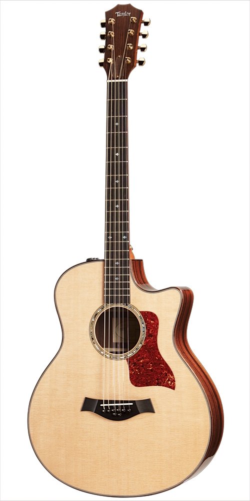 taylor bar-8 baritone guitar, 8 string, indian rosewood