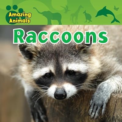 Raccoons