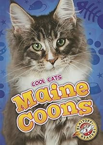 Maine Coons