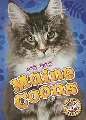 Maine Coons