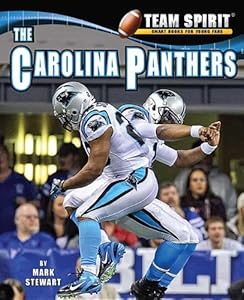 The Carolina Panthers (Team Spirit)