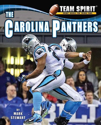 The Carolina Panthers (Team Spirit) by Mark Stewart