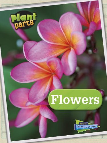 Flowers by Melanie Waldron