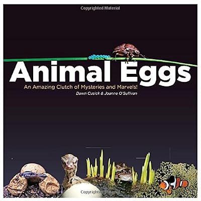 Animal Eggs: An Amazing Clutch of Mysteries and Marvels