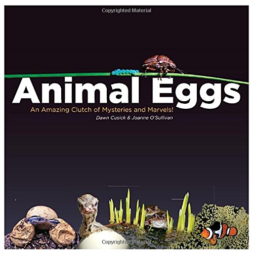 Animal Eggs: An Amazing Clutch of Mysteries and Marvels by Dawn Cusick
