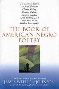 The Book of American Negro Poetry: Revised Edition