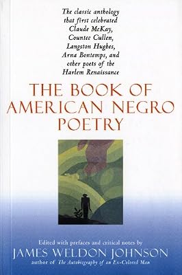 The Book of American Negro Poetry: Revised Edition