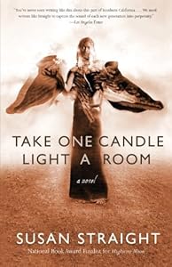 Take One Candle Light a Room: A Novel