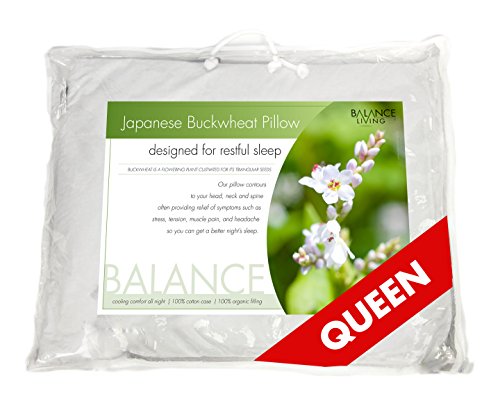 Balance Living Buckwheat Pillow Queen Size 20
