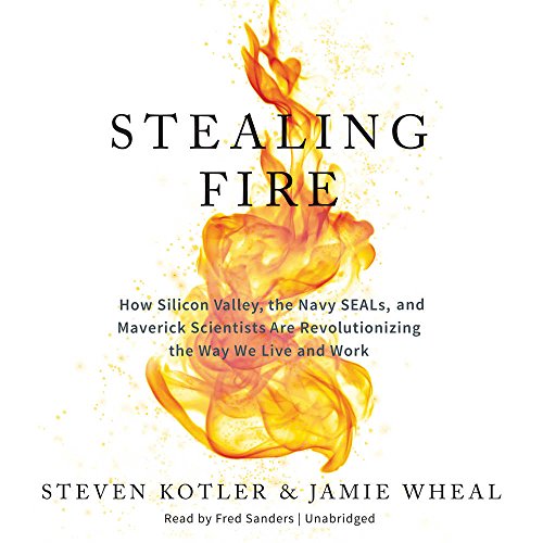 Stealing Fire: How Silicon Valley, the Navy Seals, and Maverick Scientists Are Revolutionizing the Way We Live and Work by Steven Kotler