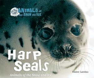 Harp Seals: Animals of the Snow and Ice