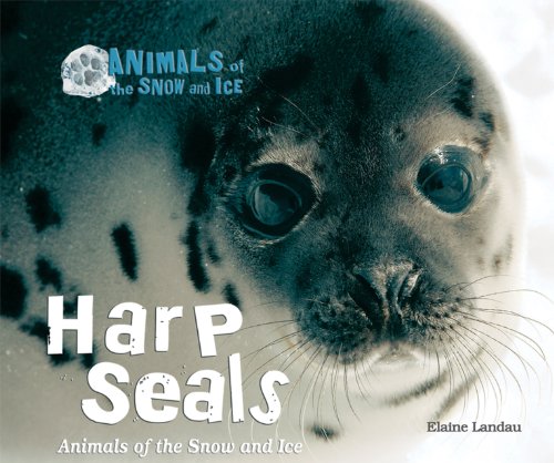 Harp Seals: Animals of the Snow and Ice by Elaine Landau