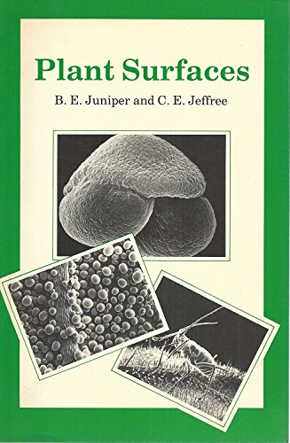 Plant Surfaces by Barrie Edward Juniper