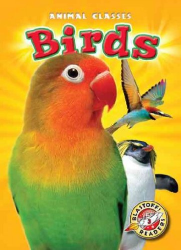 Birds by Kari Schuetz