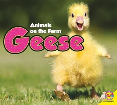 Geese