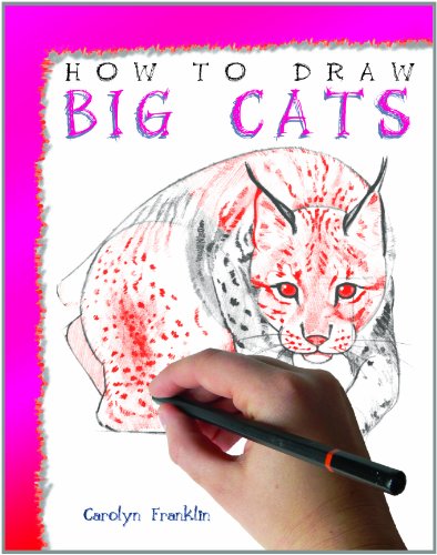 How to Draw Big Cats by Carolyn Franklin