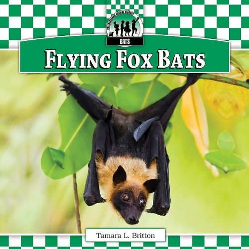 Flying Fox Bats by Tamara L. Britton